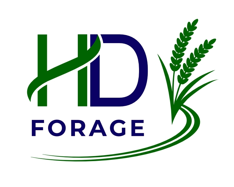 HD Forage
